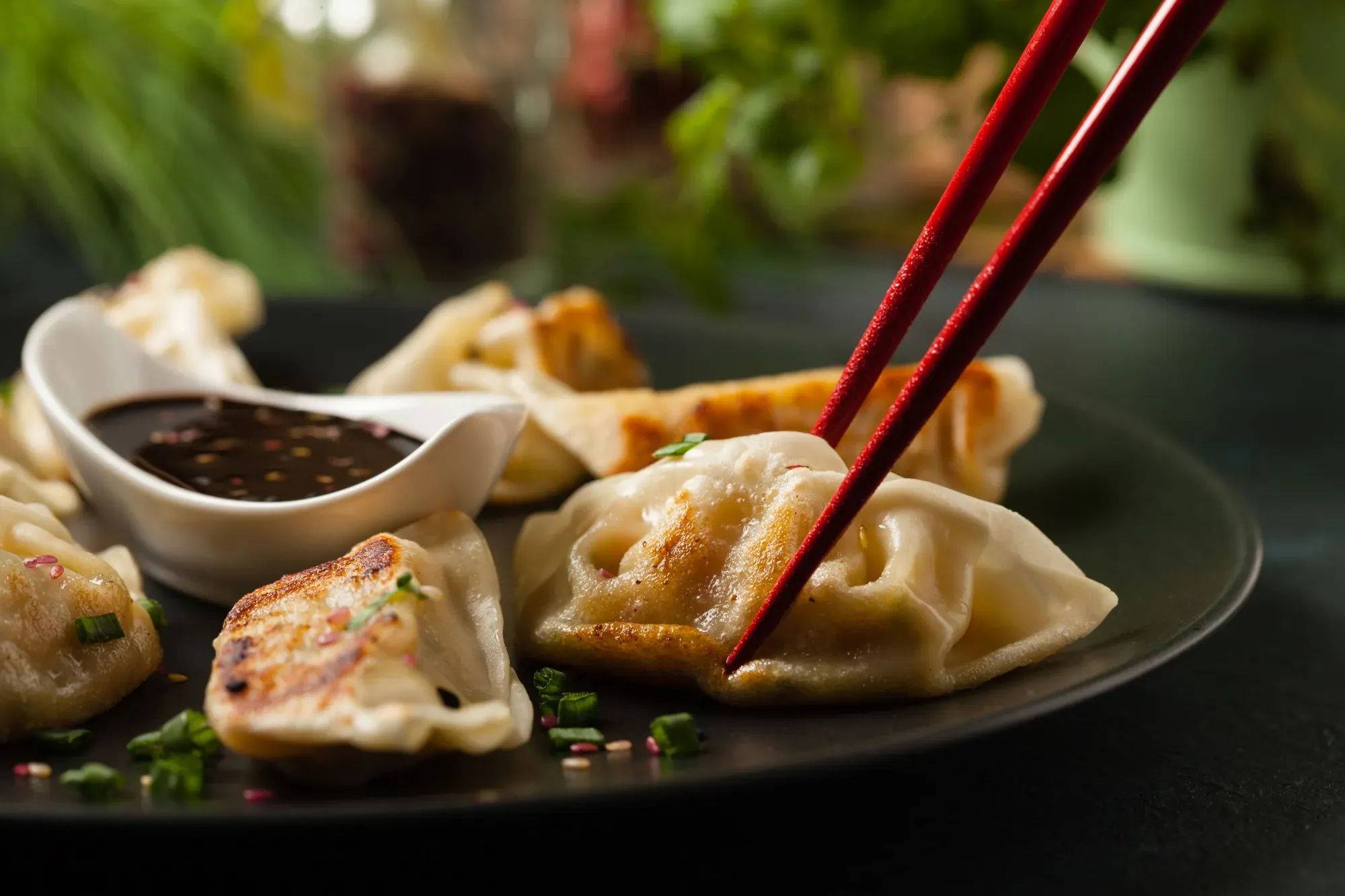 gyoza